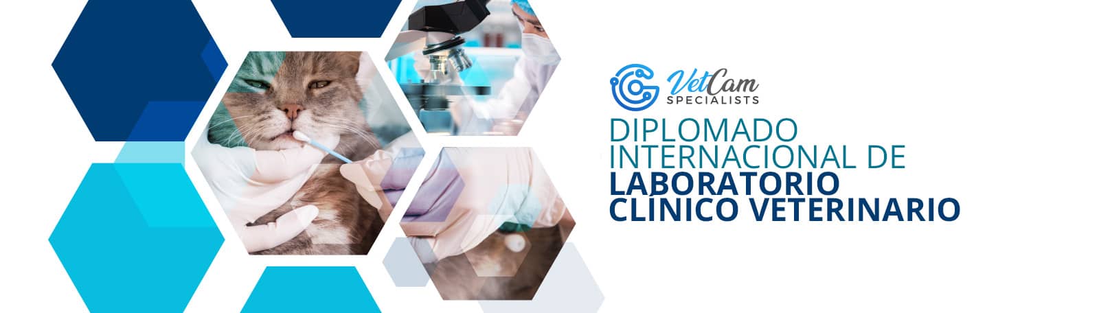 Diplomado de Laboratorio clínico Veterinario Profundización en Pequeños Animales