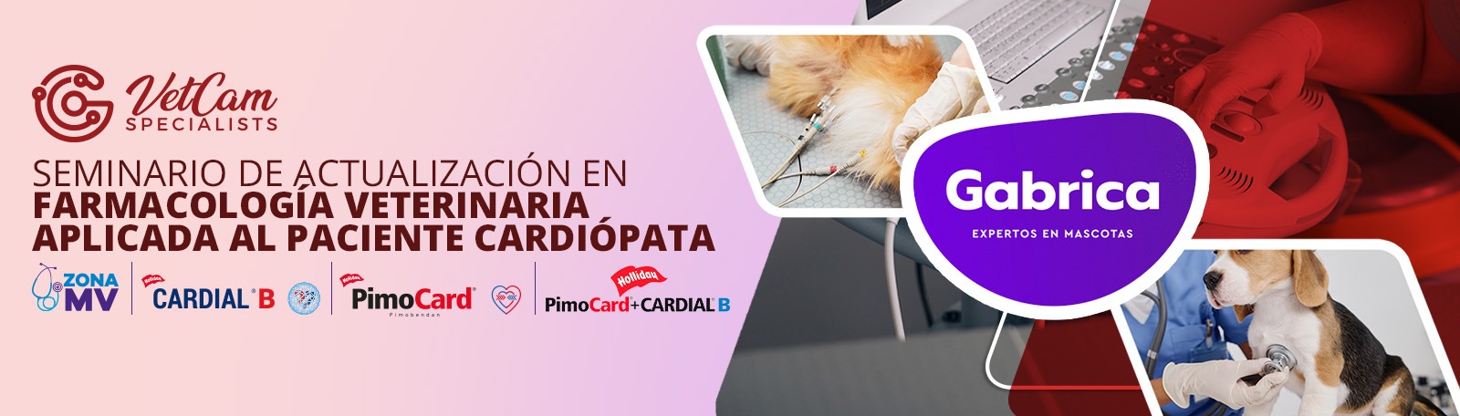 Seminario de actualización en farmacología al paciente cardiopata
