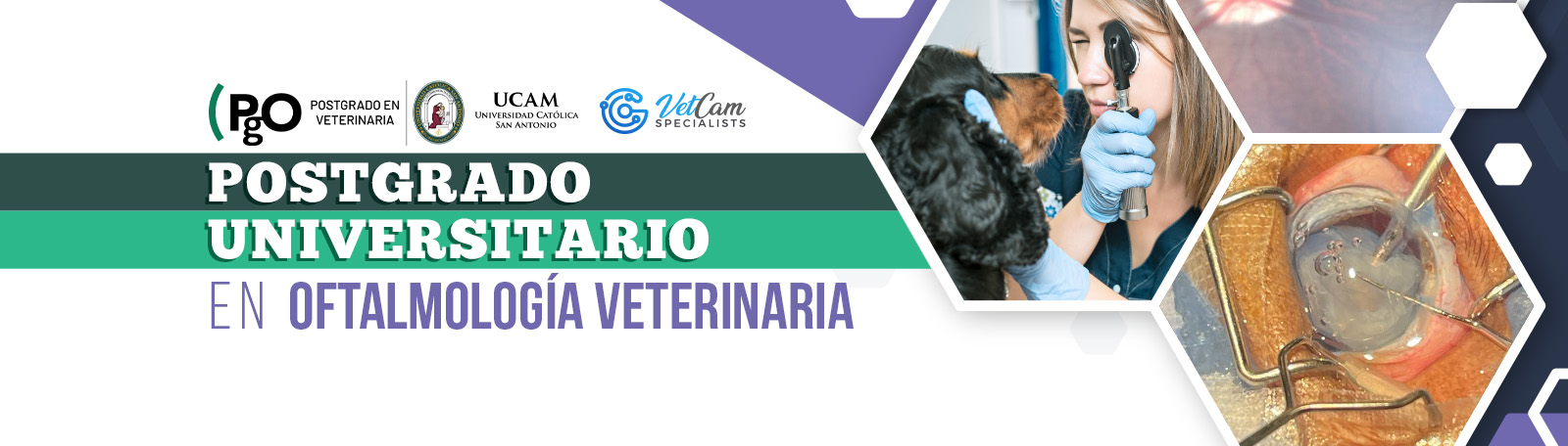 POSTGRADO UNIVERSITARIO EN OFTALMOLOGIA VETERINARIA