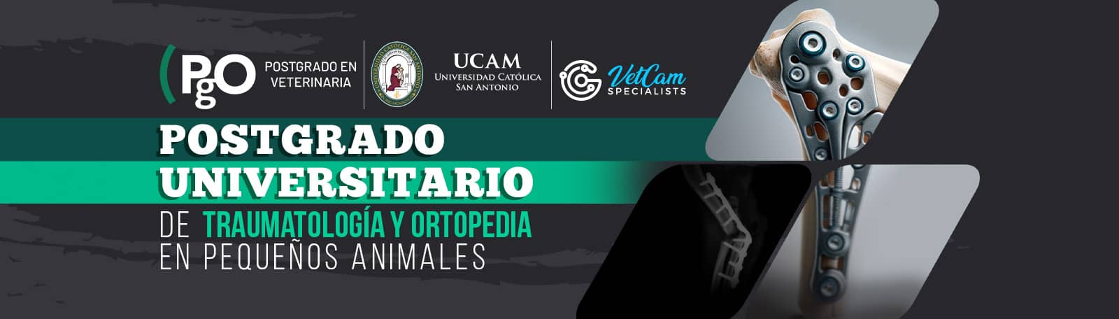 POSTGRADO UNIVERSITARIO DE TRAUMATOLOGÍA Y ORTOPEDIA EN PEQUEÑOS ANIMALES
