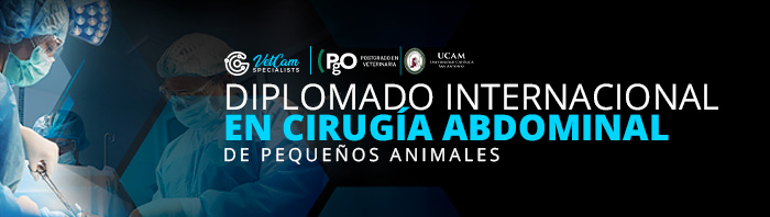 Diplomado Internacional en Cirugía Abdominal de Pequeños Animales