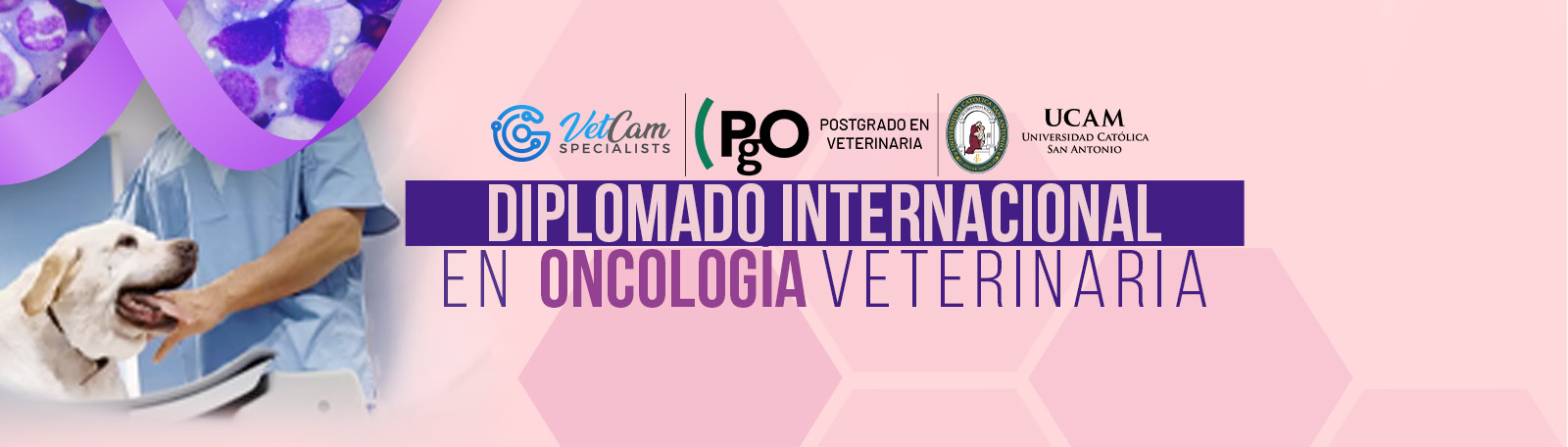 DIPLOMADO INTERNACIONAL EN ONCOLOGIA VETERINARIA