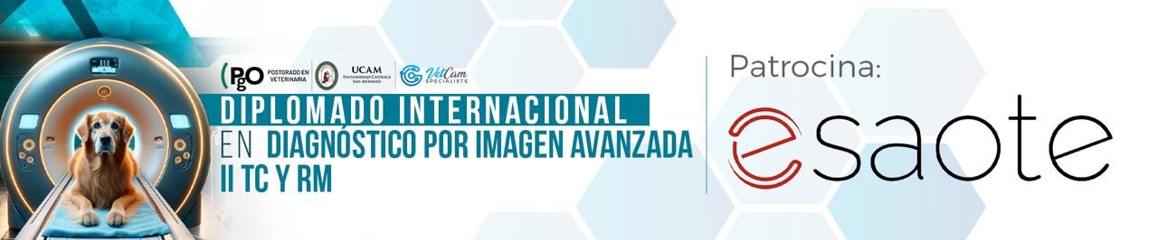 DIPLOMADO INTERNACIONAL EN DIAGNÓSTICO POR IMAGEN AVANZADA II TC Y RM