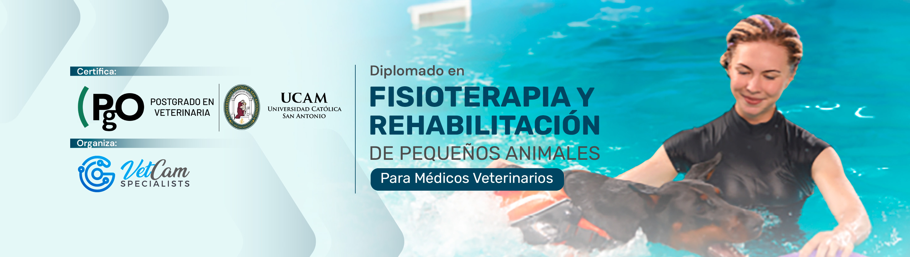 Diplomado en FISIOTERAPIA Y REHABILITACIÓN DE PEQUEÑOS ANIMALES Para Médicos Veterinarios