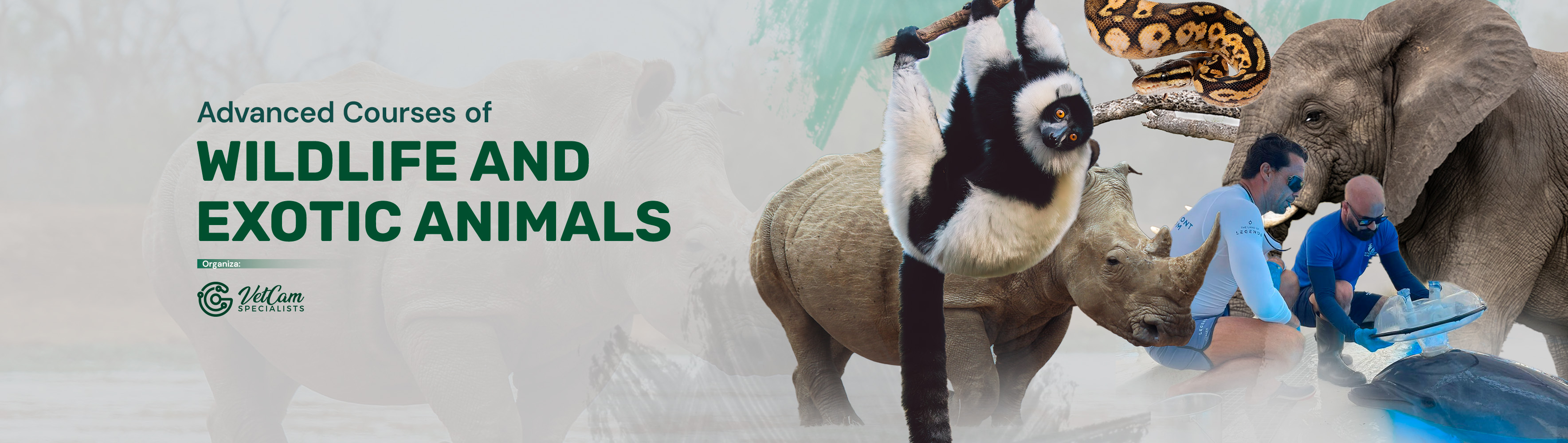 Advanced Courses of Wildlife and Exotic Animals