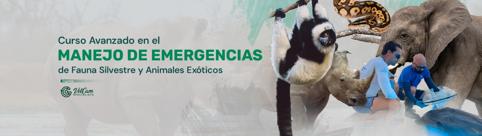 ADVANCED COURSE IN WILDLIFE AND EXOTIC ANIMAL EMERGENCY MANAGEMENT 2025
