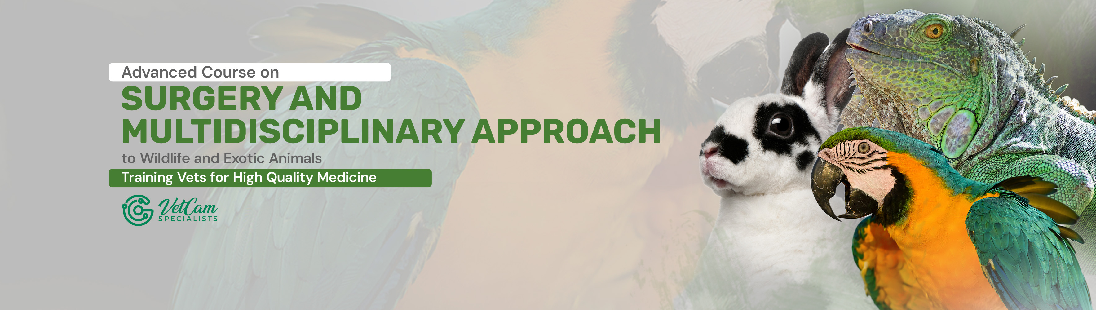 ADVANCE COURSE ON SURGERY AND MULTIDISCIPLINARY APPROACH TO WILDLIFE AND EXOTIC ANIMALS 2025