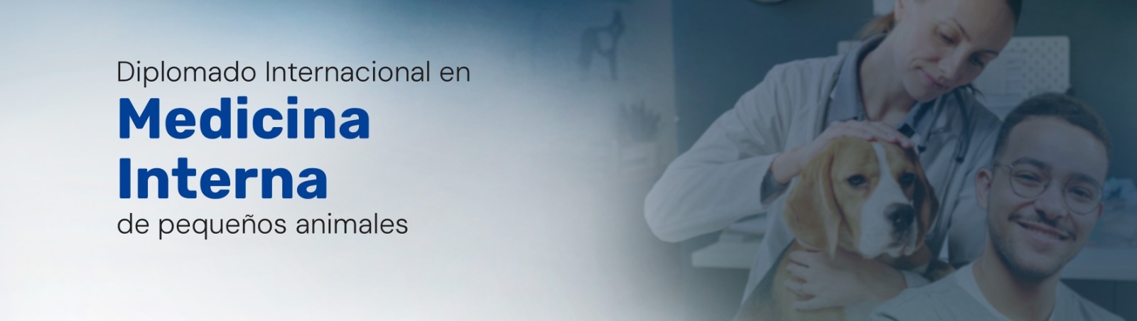 DIPLOMADO INTERNACIONAL EN MEDICINA INTERNA DE PEQUEÑOS ANIMALES 2025