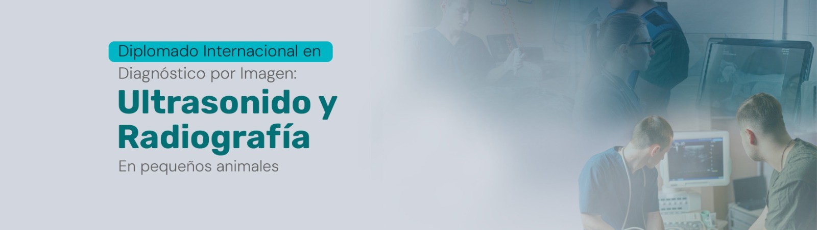 POSTGRADO UNIVERSITARIO EN DIAGNÓSTICO POR IMAGEN: ULTRASONIDO Y RADIOGRAFÍA EN PEQUEÑOS ANIMALES
