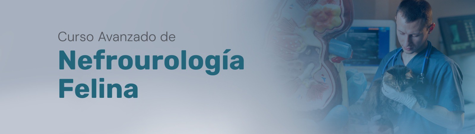 CURSO AVANZADO DE NEFROUROLOGÍA FELINA