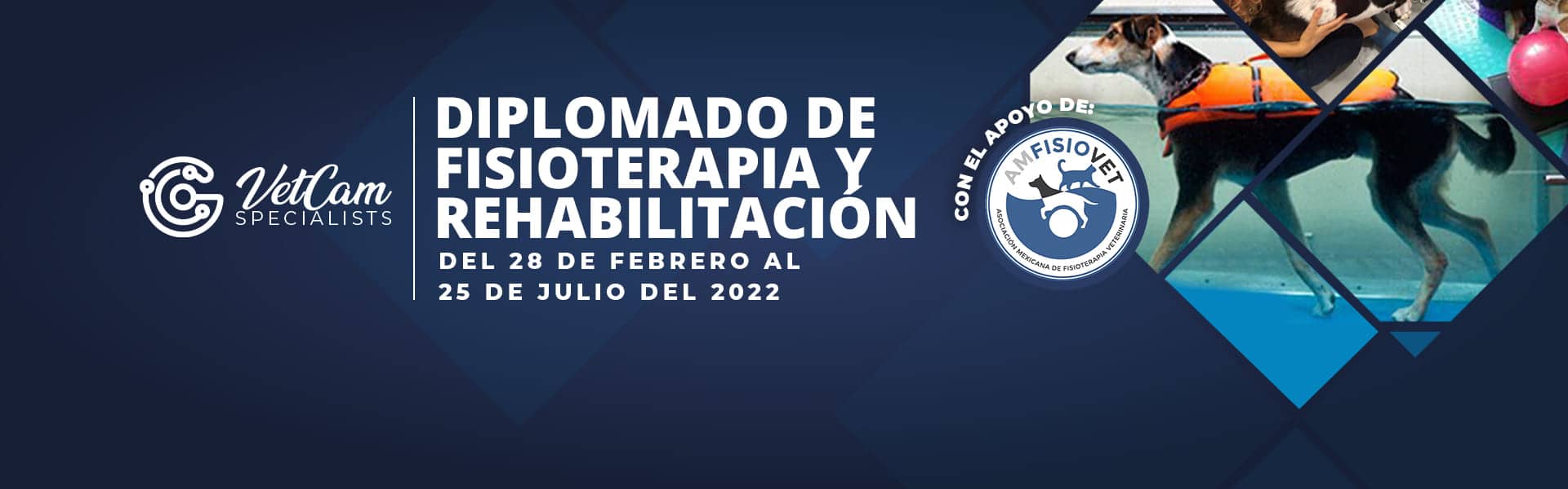 Diplomado de Fisioterapia y Rehabilitación en pequeños Animales