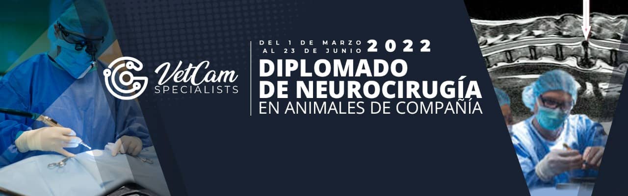Diplomado Online de Neurocirugía En Animales De Compañía