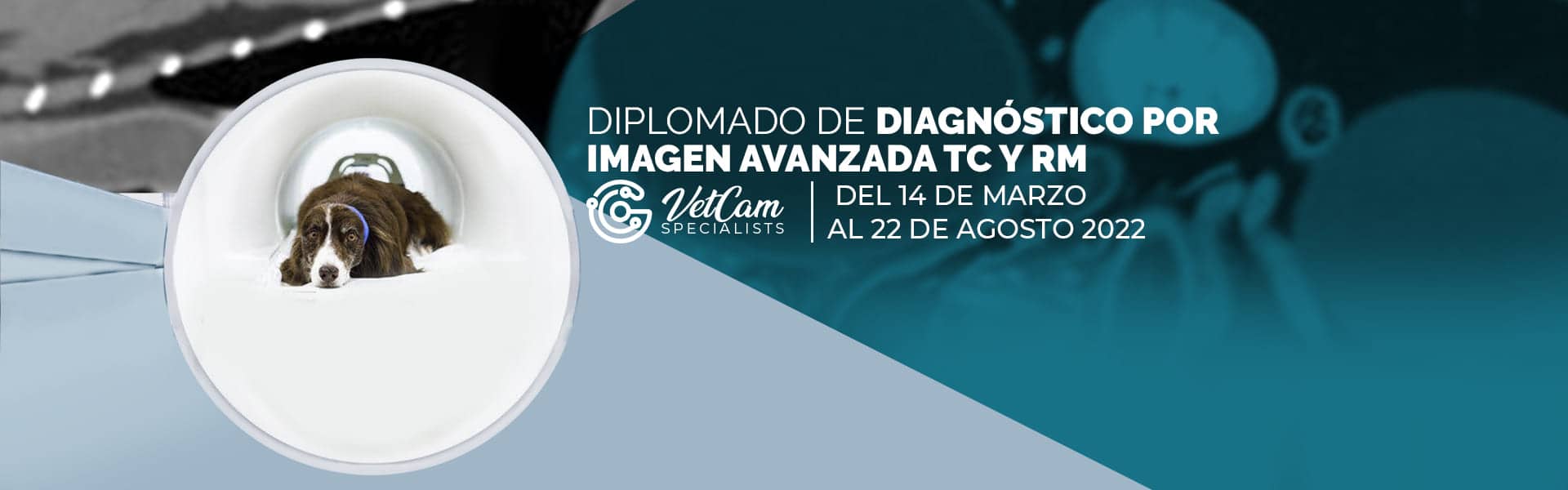 Diplomado De Diagnóstico Por Imagen Avanzada RM