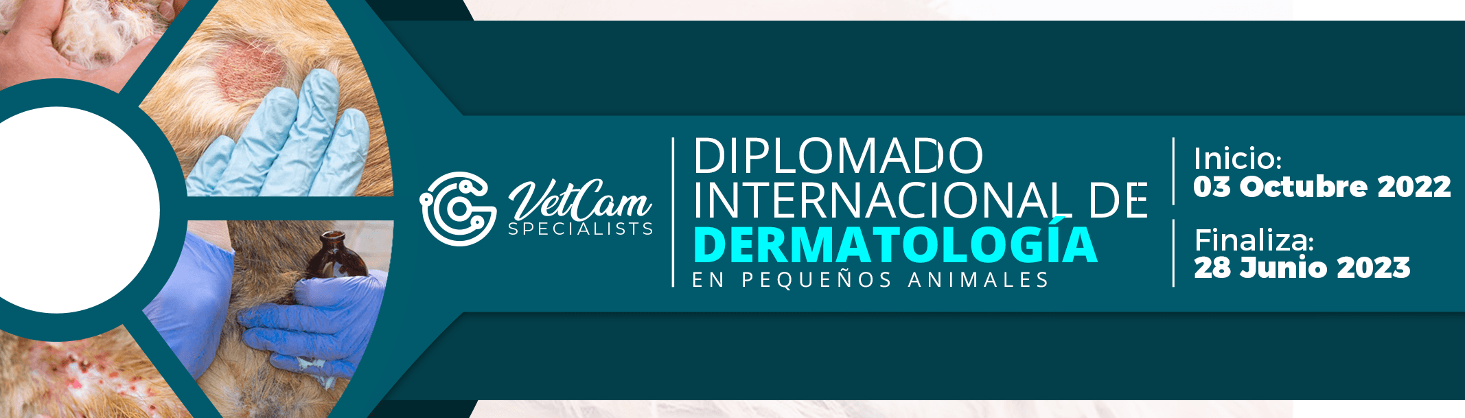 DIPLOMADO INTERNACIONAL DE DERMATOLOGIA EN PEQUEÑOS ANIMALES