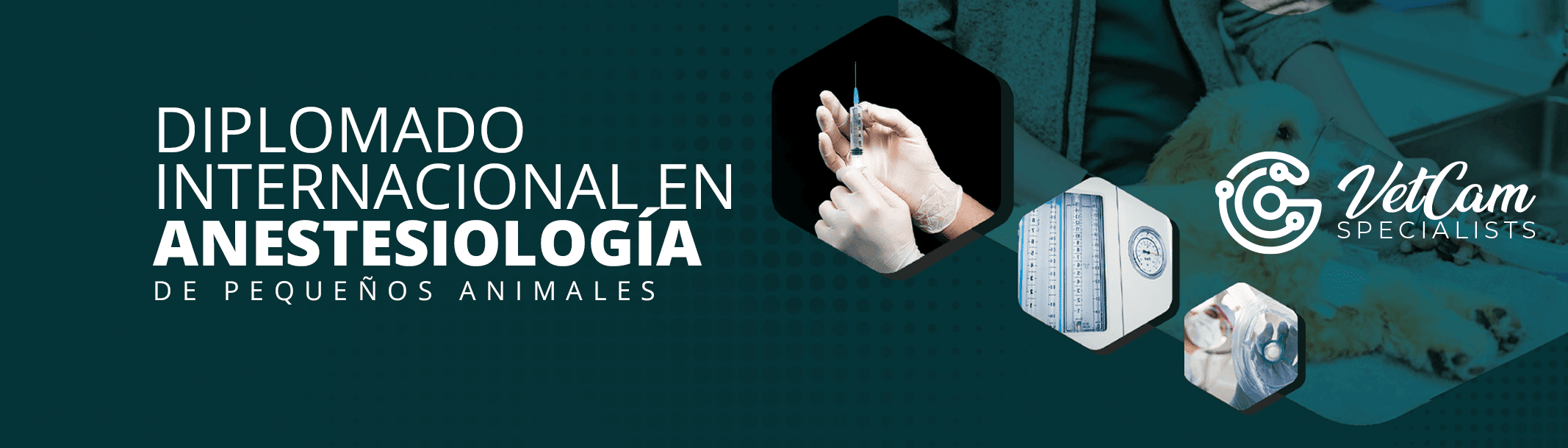 DIPLOMADO INTERNACIONAL EN ANESTESIOLOGÍA DE PEQUEÑOS ANIMALES