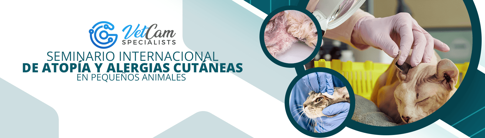 Seminario internacional de Atopía y Alergias Cutaneas En Pequeños Animales.